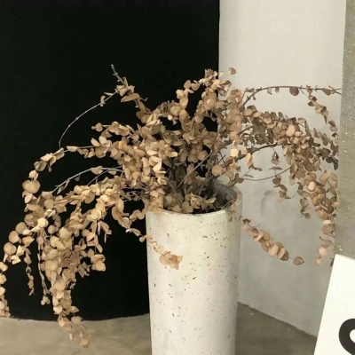 兽设天空场景设计FurryQQ群